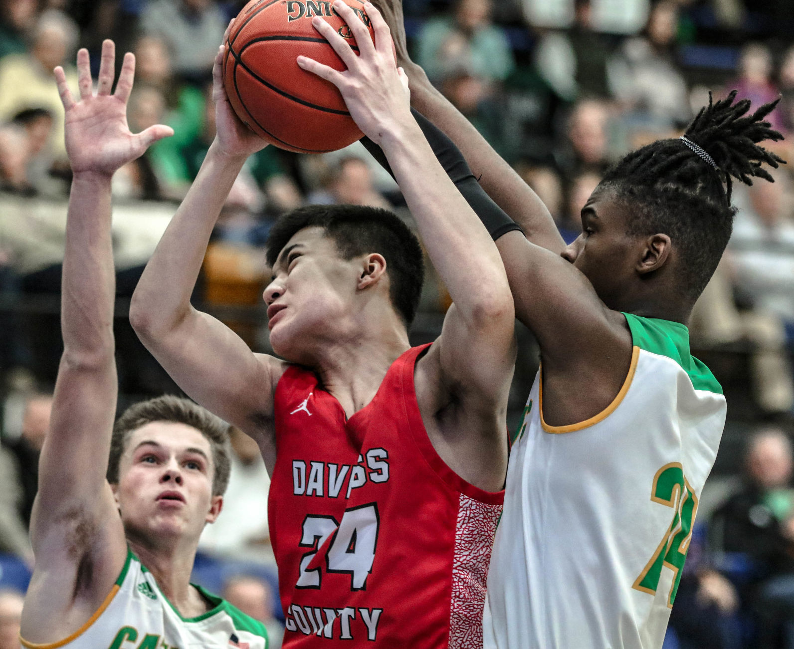 Daviess County Owensboro Catholic basketball